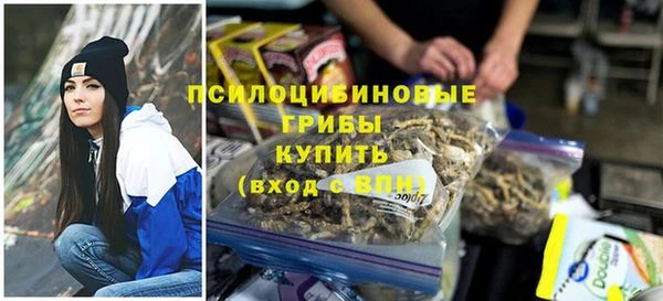 эйфоретик Алексеевка