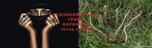 гашиш Алексин