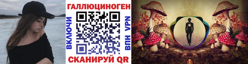где купить наркотик  Тара  Галлюциногенные грибы мухоморы 