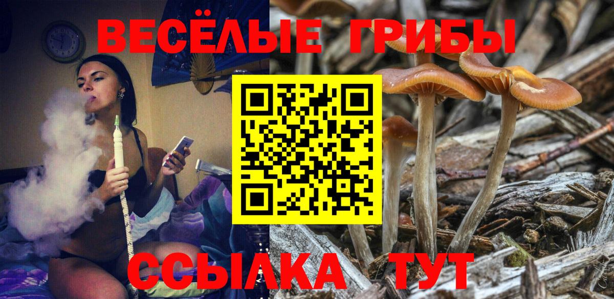 A-PVP Тара