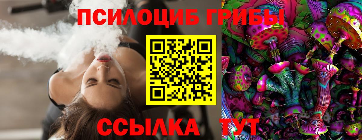 Тара  Псилоцибиновые грибы прущие грибы  Вход с VPN  Псилоцибиновые грибы мицелий 
